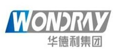 勁浪科技 以客戶為中心，匠心打造卓越計算機網絡工程